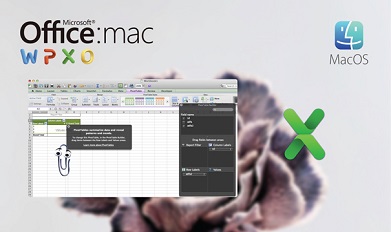 Microsoft Excel 2011 pour MAC