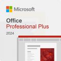 Microsoft Office Professional Plus 2024, image 