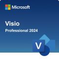 Microsoft Visio Professional 2024, image 