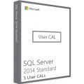 SQL Server 2014 Standard - 5 User CALs, Client Access Licenses: 5 CALs, image 