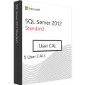 SQL Server 2012 Standard - 5 User CALs, Client Access Licenses: 5 CALs, image 