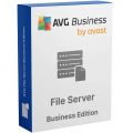 AVG File Server Business Edition 2026-2028, Runtime: 2 Years, Appareils: 100 Appareils, image 