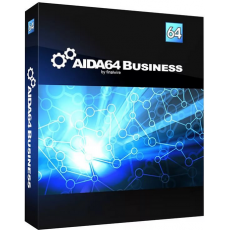 AIDA64 Business, Device: 1 Device, image 