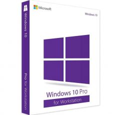 Windows 10 Pro for Workstation, image 