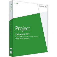 Project Professional 2013, image 