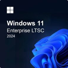 Windows 11 Enterprise N LTSC 2024, image 