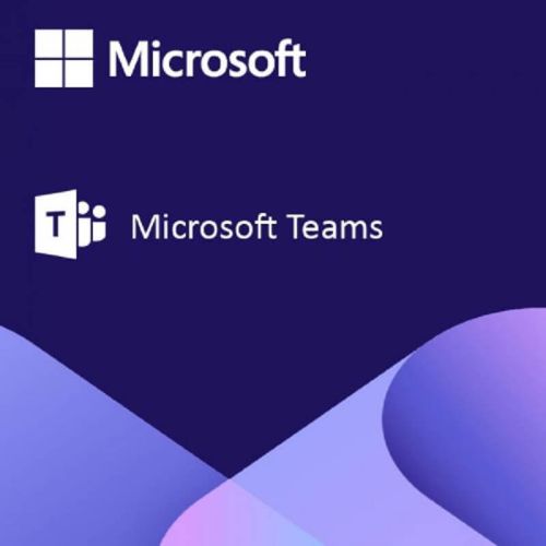 Teams Enterprise, image 